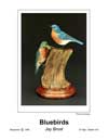 Bluebirds T.jpg (2093 bytes)