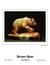 Brown Bear T.jpg (2237 bytes)