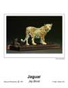 Jaguar T.jpg (2048 bytes)