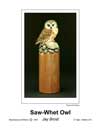 Saw-Whet Owl T.jpg (2015 bytes)